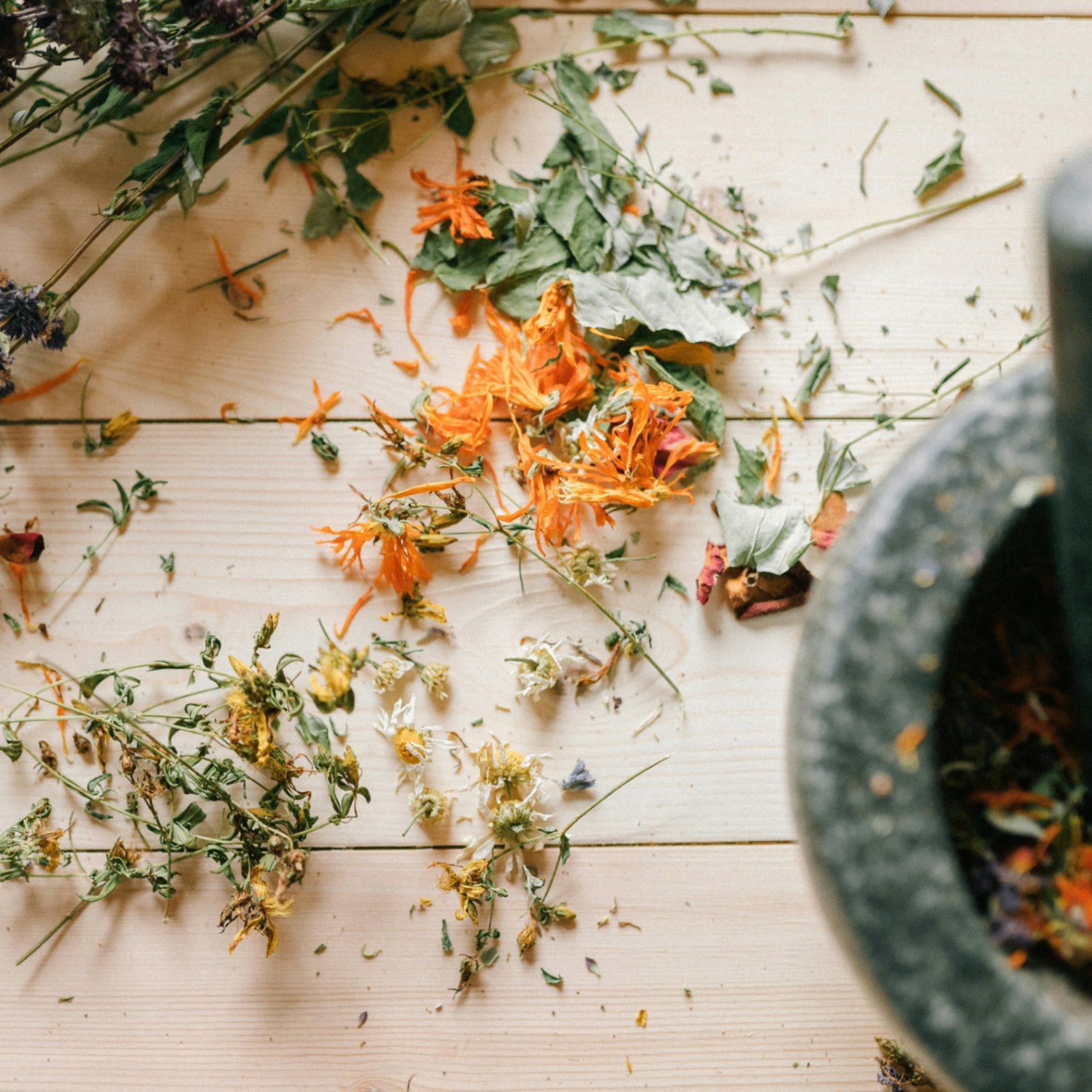 Benessere olistico ad Abano Terme: riflessologia plantare e fiori australiani